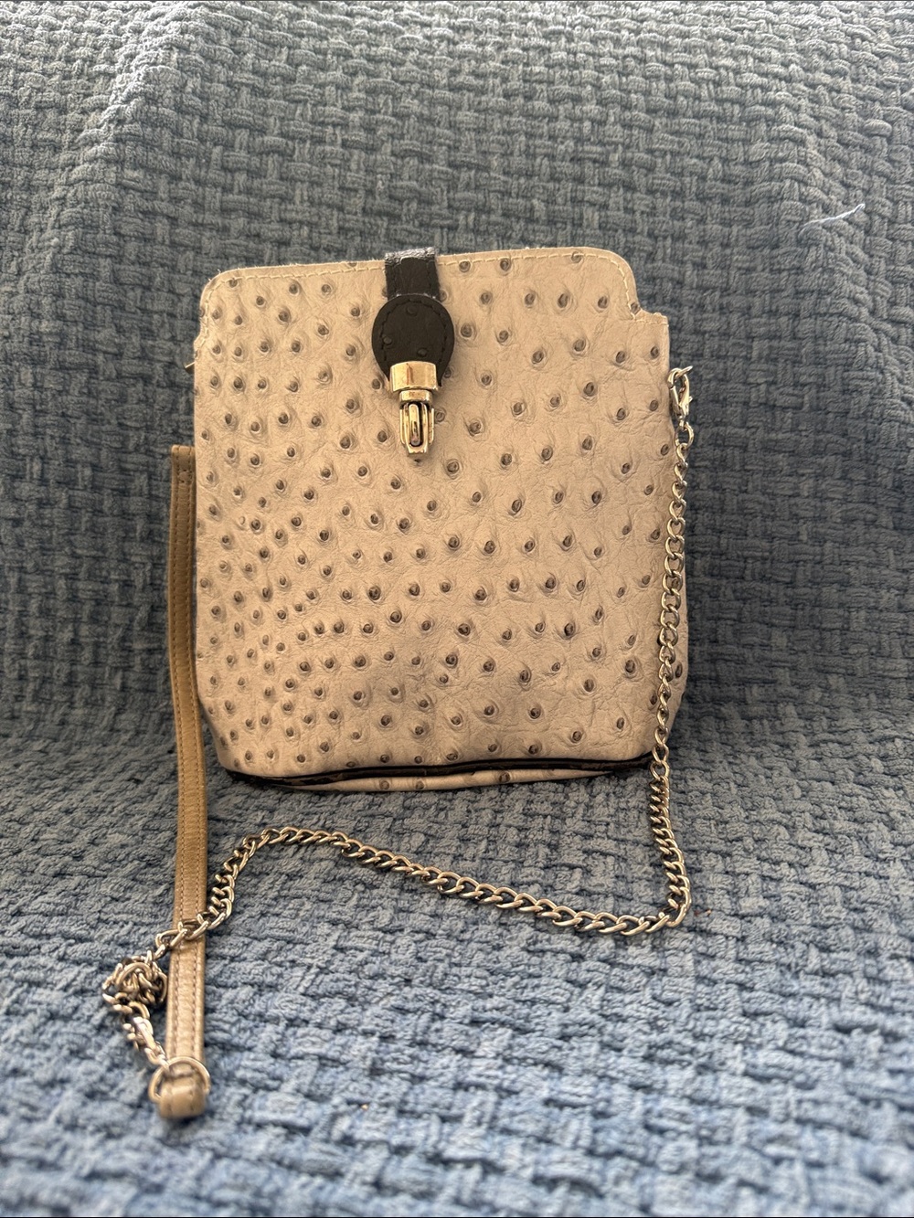 Cream Faux-Ostrich Crossbody Bag with Gold Chain Strap